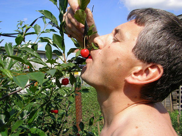 Рузаль Камалиев