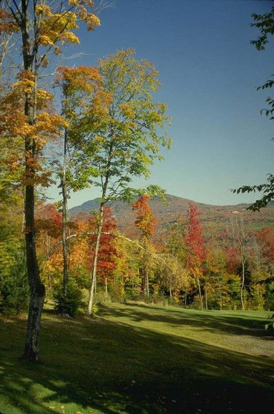 Альфия Фроемчук