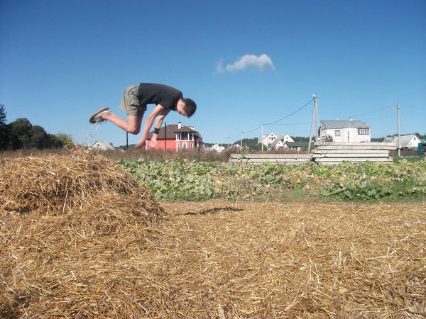 Паша Яколцевич