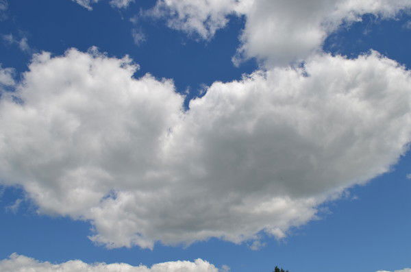 Владимир Смирнов