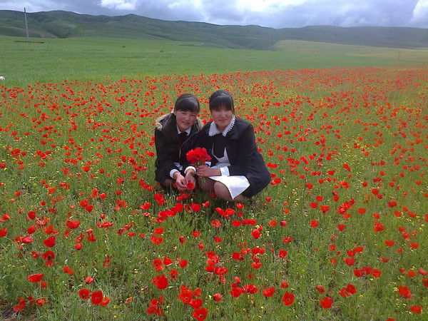 Айнура Абылова