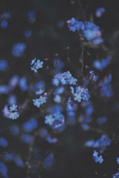 Анастасия Крапивина