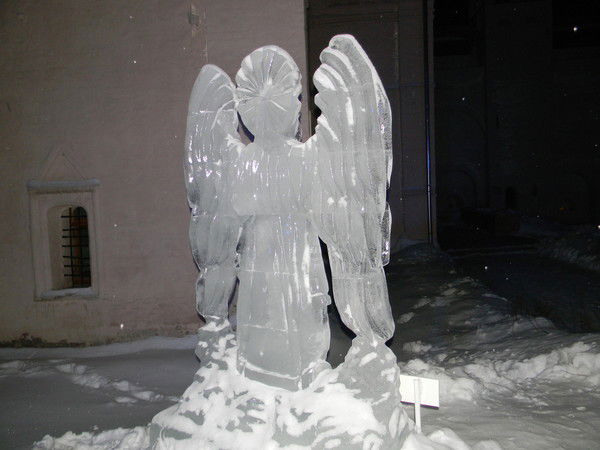 Елена Геннадьевна Новикова