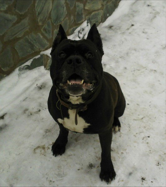 Иван Иванов