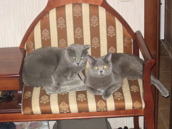 Григорий Кириллов