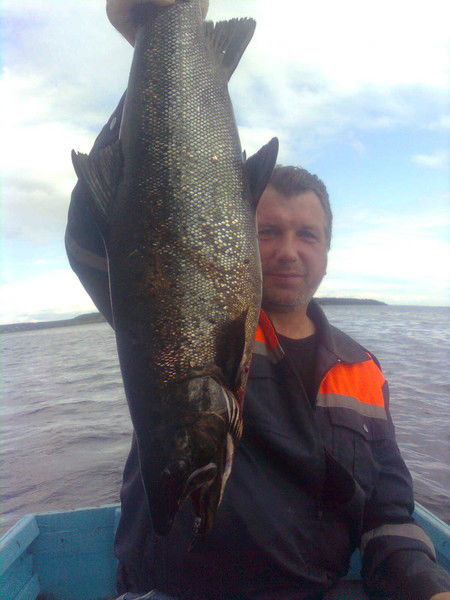 Aндрей Тишинин