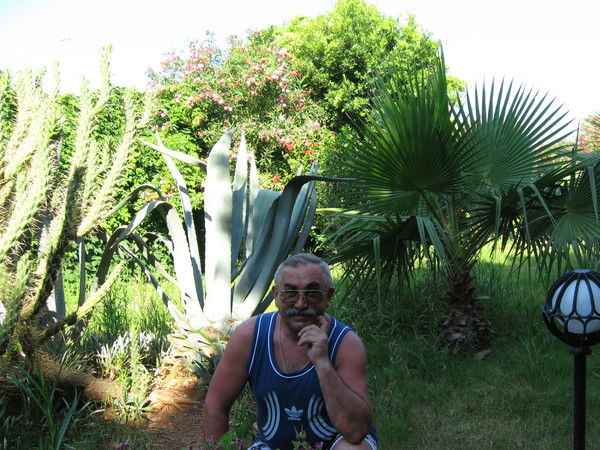 Михаил Абрамов