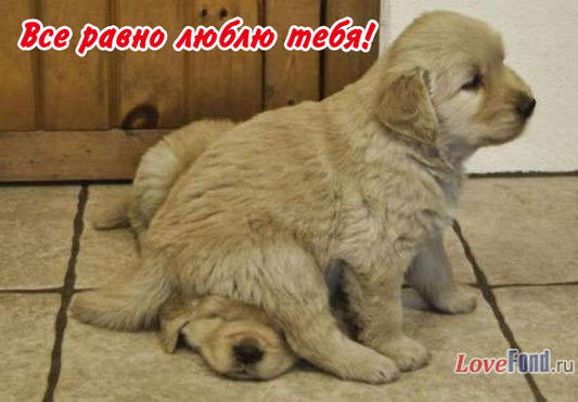 Сая Байгабулова