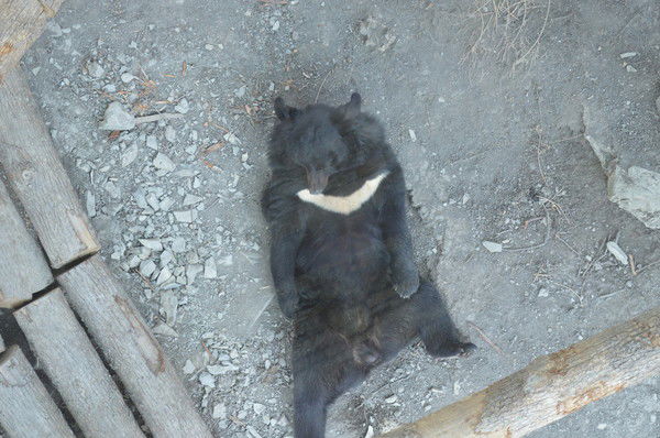 Евгений Кондаков