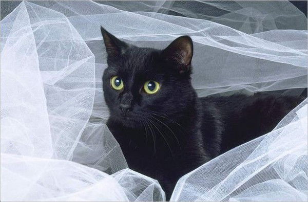 Альбина Сахибгареева