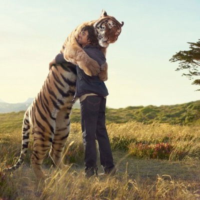 Виталий Андрющенко