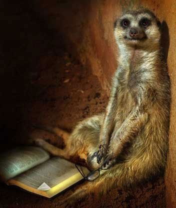 Алан Зайцев