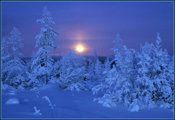 Елена Enigma6868