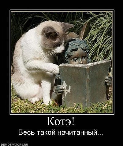 Ольга Романова