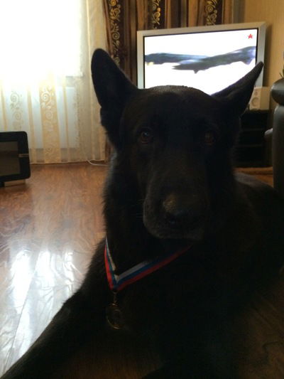 Артем Яковец