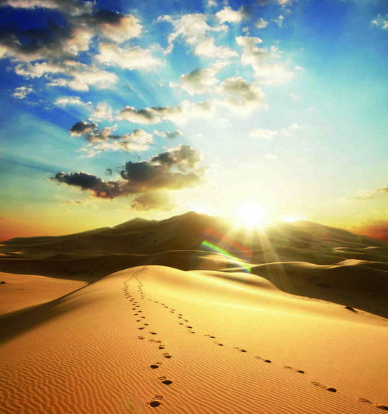 Наталья Музыченко