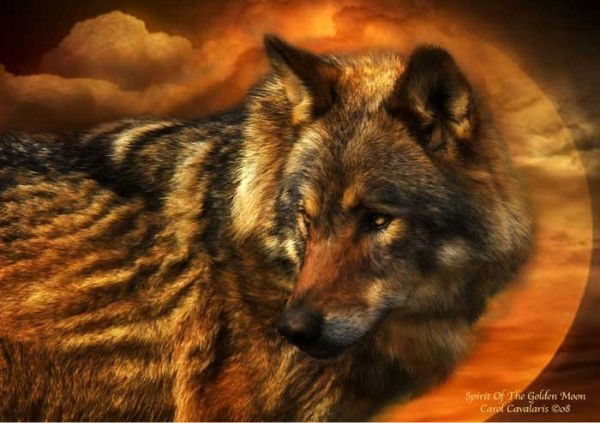 Егор Ахмадулин