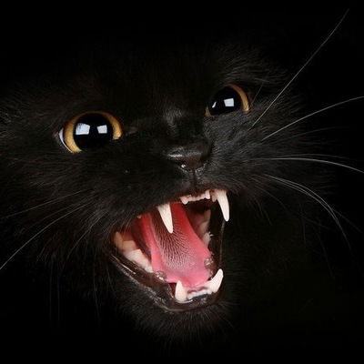 Сергей Рыбинский