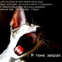 Zver ....