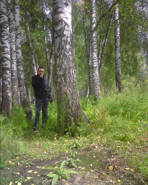 Роман Гулин