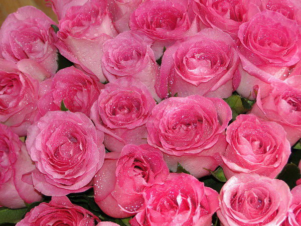 Кгкп Ясли - Сад №27