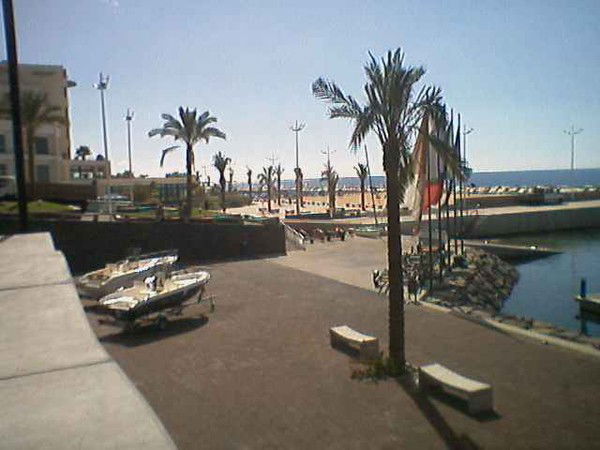 Елена Мешкова