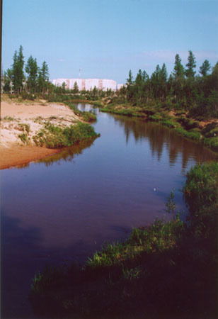 Земля Родная Школа