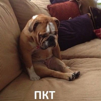 Александр Вольф