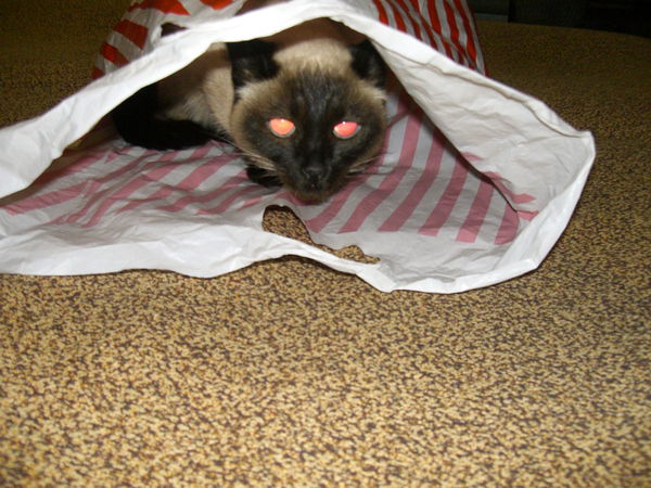 Валентина Коленко