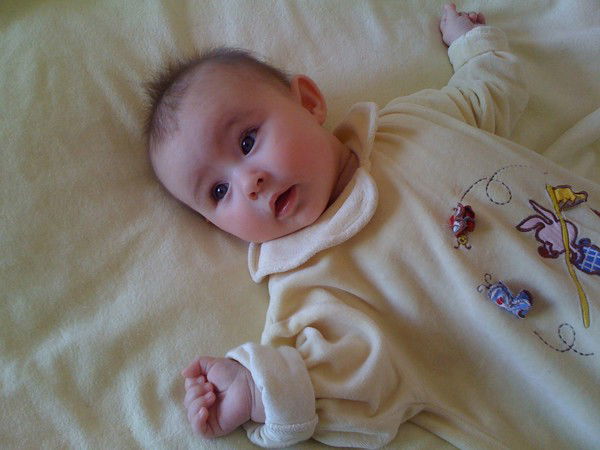 Serg I Snezh Sokolov