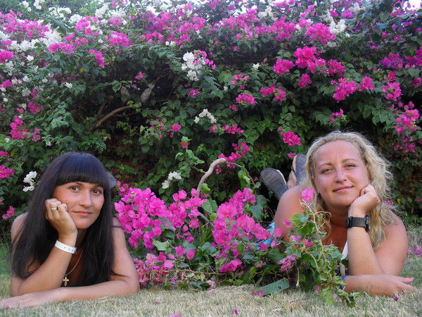 Елена Котова