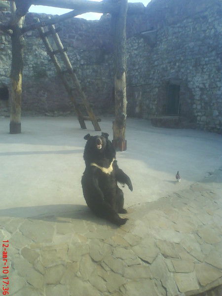 Владислав Филатов