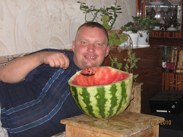 Алексей Степанов