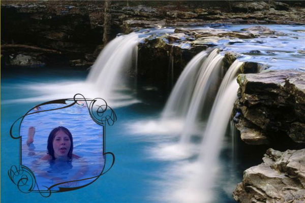 Птица Вольная