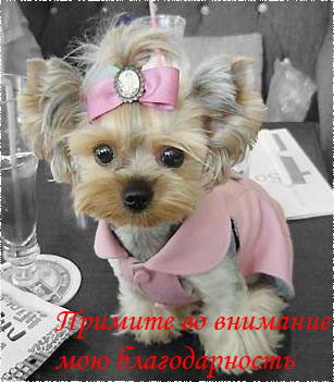 Валентина Е