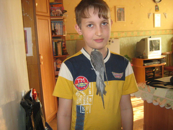 Кирилл Наливкин