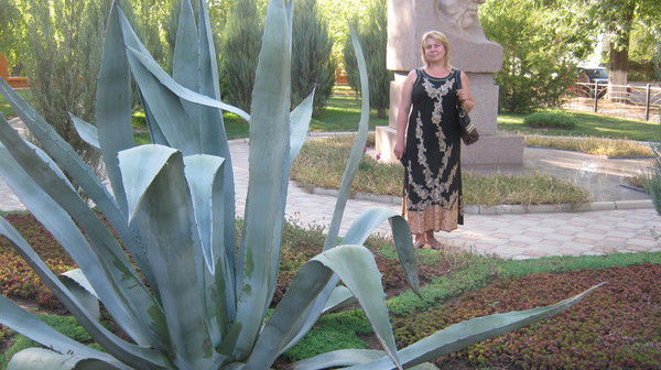 Ирина Бронская