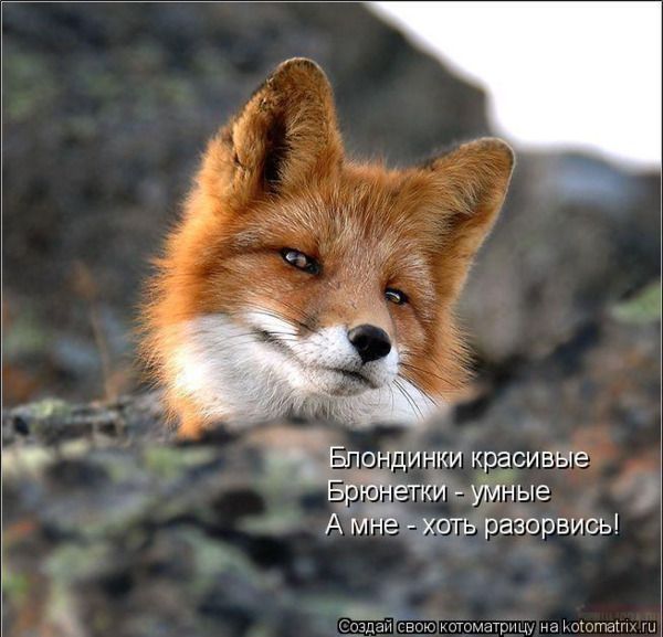 Мадина Хачирова