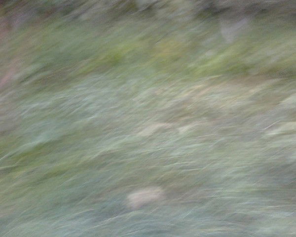 Галина Житникова