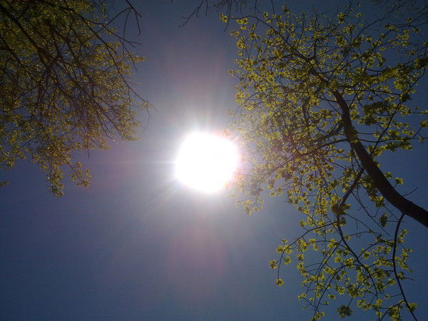 Наталья Данилова