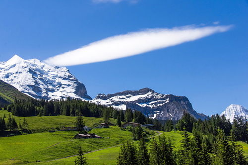 Жайсан Мусаханова