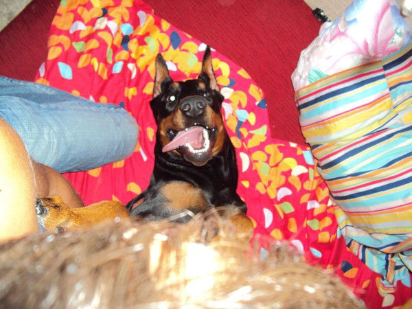 Сергей Ханходера