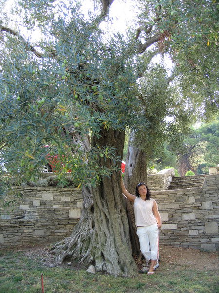 Анна Батрева