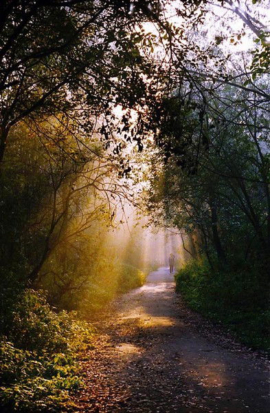 Елена Рычихина