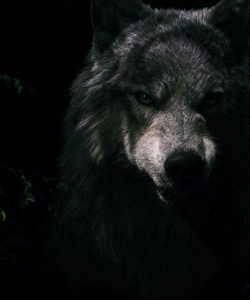 Сергей Четвертков