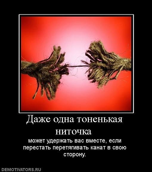 Владимир Кольцов