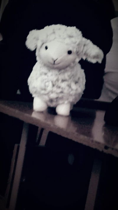 Вова Бобровничий