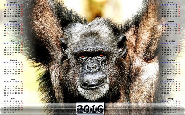 Крестный Отец