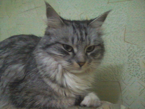 Татьяна Золотухина