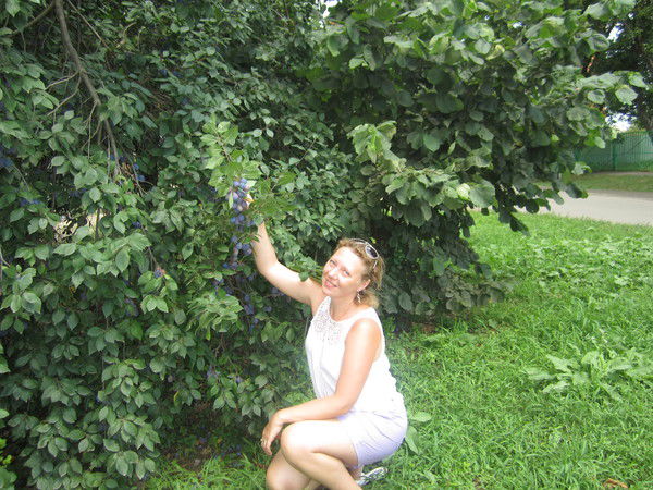 Лена Матвиец